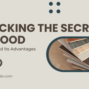 Unlocking the Secrets of Plywood: Types, Uses, and Its Advantages - Dream Modular